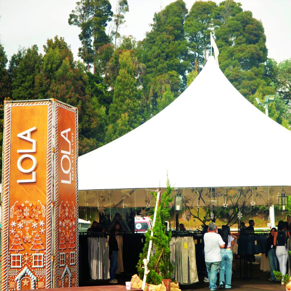 Mesa de trabajo 1 copia 8